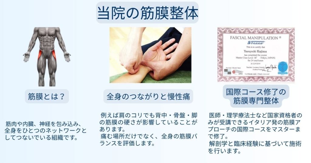 筋膜の図解、施術シーン、国際コース修了証を並べて説明する整体院の紹介画像