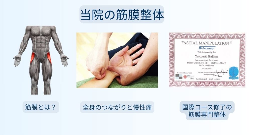筋膜の図解、施術シーン、国際コース修了証を並べて説明する整体院の紹介画像